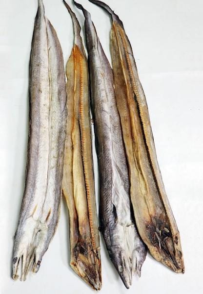 সামুদ্রিক বাইম শুঁটকি